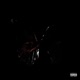 RE UPLOAD Single