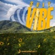 Sviy Vibe