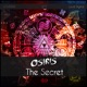 The Secret Single