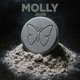 Molly Radio Edit Single