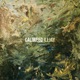 Caliweed Single