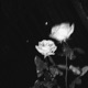 Till Death To Us Part Single