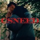 CSNEED Single