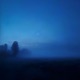 signal EP