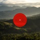TOUTTAN Single