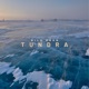 Tundra Single