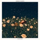 Wildflower Single
