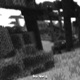 New World Single
