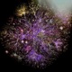 Mycelia EP