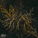 Паркур EP