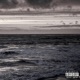 Stranger Single