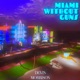 Miami Without Guns Single
