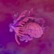 Panic Brain feat Uyuni Itaq Single