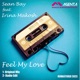 Feel My Love Remastered 2023 feat Irina Makosh Single