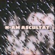 N AM ASCULTAT Single