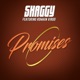Promises feat Romain Virgo Single