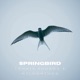 Springbird Single