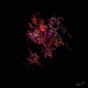 Lose Myself feat S NE Single