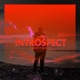 Introspect Single