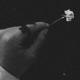 LMK Freestyle Single