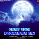 Chait Sudi Poonam Ka Din Single
