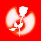 FLOWERS Single