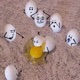 6LITTLEBITCHES Single