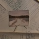 Jesus Was Crucified In Fresno I Thought feat Putrid Single