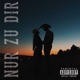 Nur zu dir Single