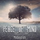 Peace of Mind Single