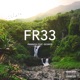 Fr33 feat George Single
