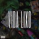 Vida Lixo Single