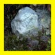 Magic Spell EP
