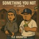 Something you not feat Lunatik Single