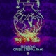 Crisis Steppa Rmx feat Sr DuBong Indra MC Single