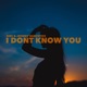I Dont Know You Single