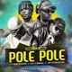 Pole Pole Single