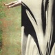 Soliloquy Single