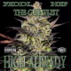 High Already feat Dell Feddi HillBilly Hef Single