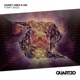 Funky Bass Single