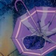 In the Rain Single