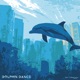Dolphin Dance Single