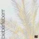 bieberfieberrr EP