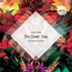 I m Over You DJ Aristocrat Remix Single