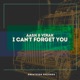 I Can t Forget You Single
