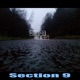 Section 9 Single