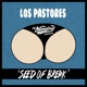 Seed of Break Single