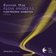 Flow Process Single