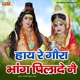 Haye Re Gora Bhang Pilade Ne Single