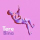 Tere Bina Single